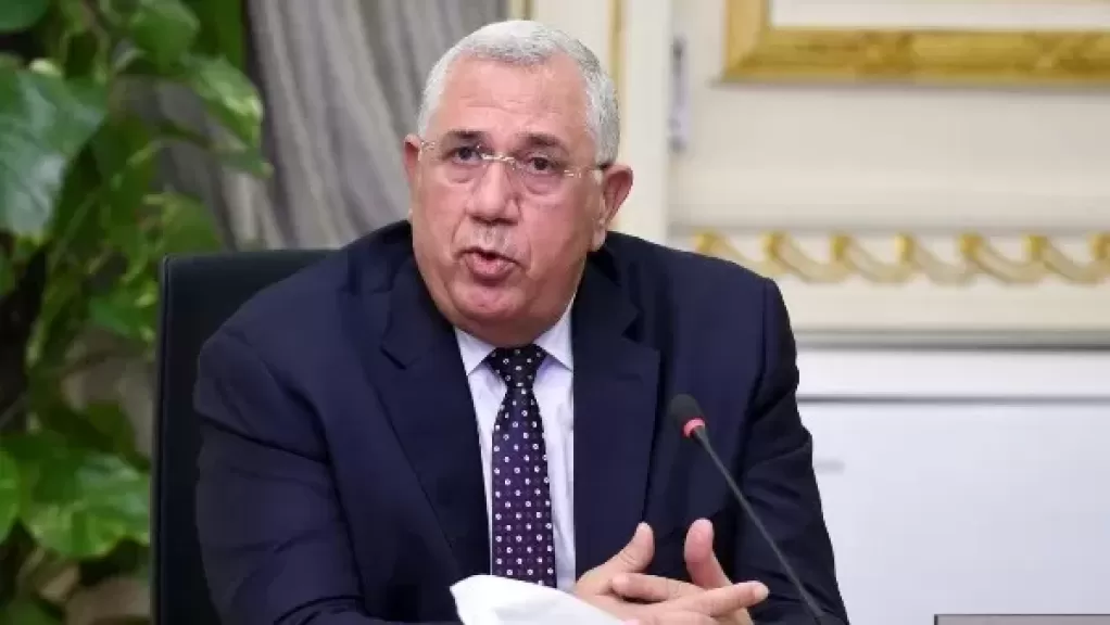 ”الجبهة الوطنية”: انتخابات الشيوخ يجب أن تخرج بصورة مشرفة تليق بمكانة الدولة المصرية