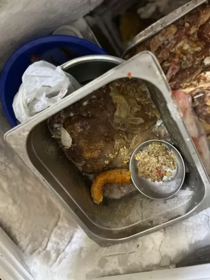 ضبط 125 كجم أغذية فاسدة في العبور وتوصية بغلق 3 منشآت للغذاء بالقليوبية