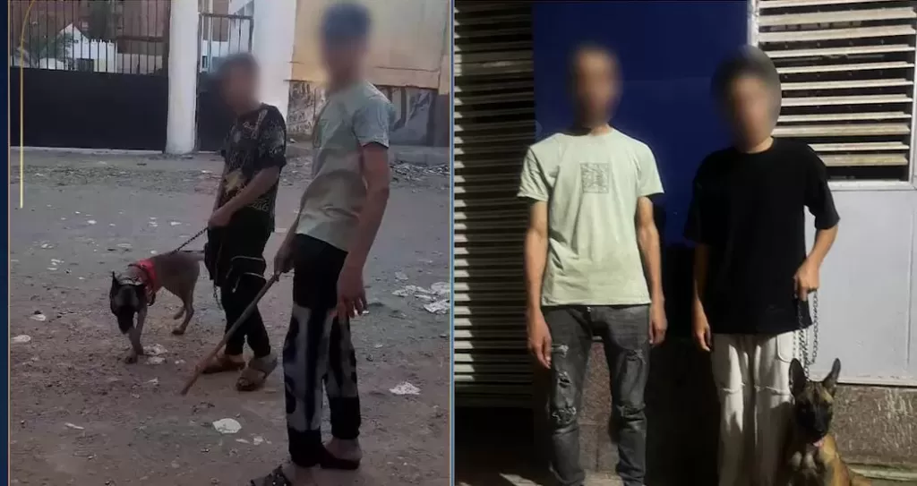 لممارستهم أعمال البلطجة وترويع الأطفال.. تفاصيل ضبط الداخلية لشخصين في الخصوص