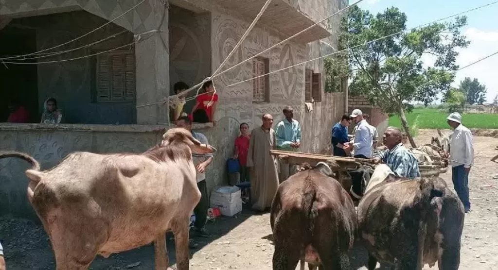 فحص وعلاج 2770 حيوانًا وطائرًا في قافلة بيطرية مجانية بكفر الشيخ