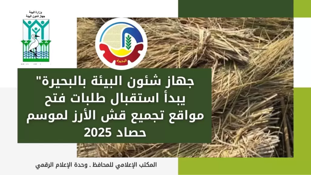 ”شئون البيئة بالبحيرة” يبدأ استقبال طلبات فتح مواقع تجميع قش الأرز لموسم حصاد 2025