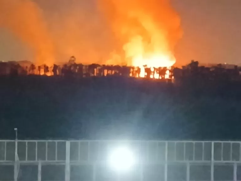 إندلاع حريق هائل بمزارع النخيل بالخانكة.. والحماية المدنية تحاول السيطرة