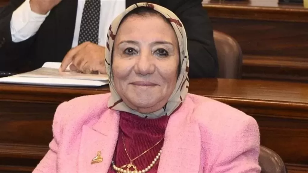 برلمانية: غزة تنزف والعالم يصمت.. ومصر لا تساوم على القضية