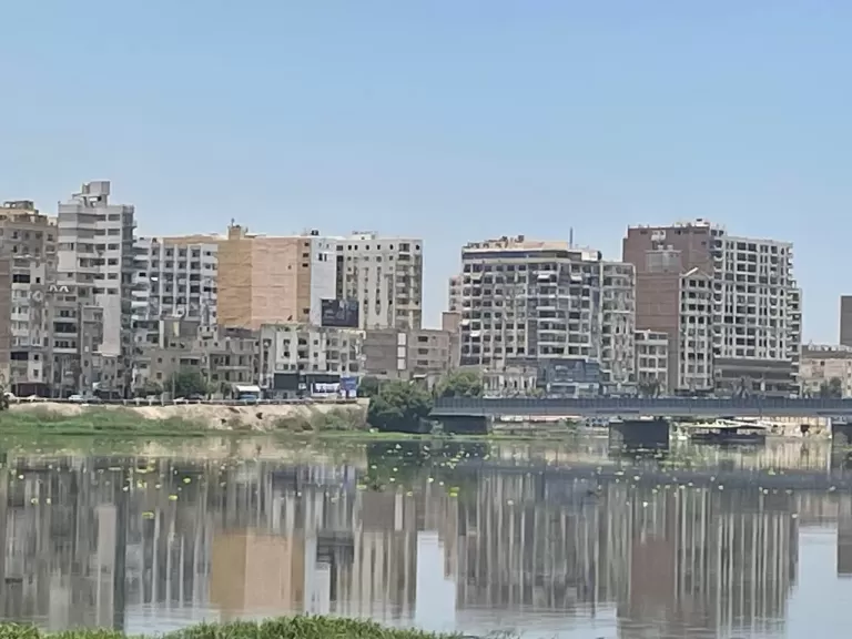 غطاء نباتي كثيف يغزو نهر سوهاج.. وأهالي المدينة يطالبون بتدخل عاجل