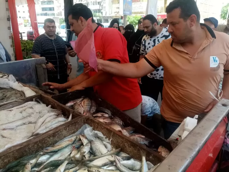 بخصم 30% استمرار انطلاق أسواق اليوم الواحد الجمعة والسبت كل أسبوع