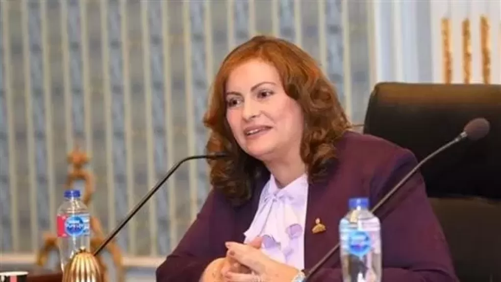 نائبة برلمانية تشيد بيقظة الداخلية في إحباط مخطط «حسم»: نموذج للاحترافية في حماية الأمن القومي المصري
