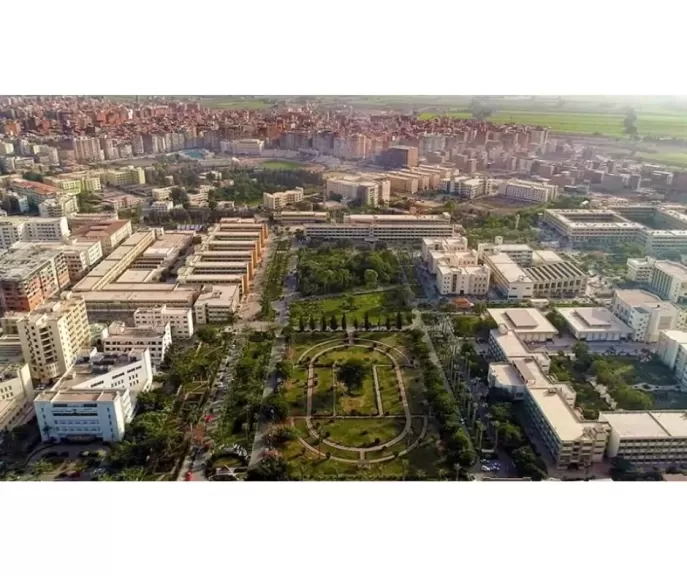 جامعة المنصورة تتصدر جوائز الدولة لعام 2024 بـ9 جوائز علمية في مختلف المجالات