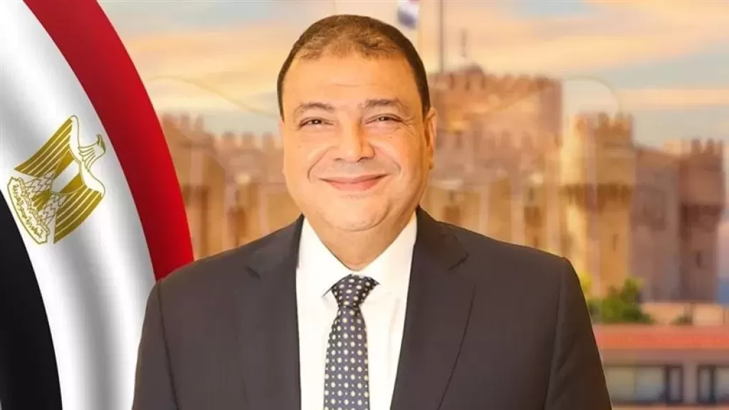 البديوي السيد: الدعوات المغرضة للتظاهر ضد مصر في الخارج تخدم أجندات مشبوهة وتفتقر للوطنية