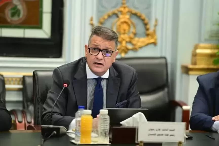 برلماني يدعو المصريين للمشاركة في انتخابات مجلس الشيوخ: ”صوتك أمانة ومسؤولية وطنية”