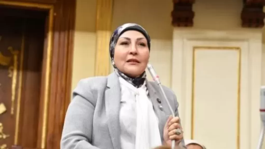 النائبة الدكتورة هالة أبو السعد