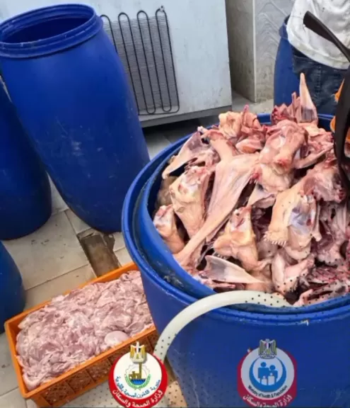 ضبط 2 طن دواجن غير صالحة للإستخدام الآدمي داخل محل غير مرخص في الخانكة