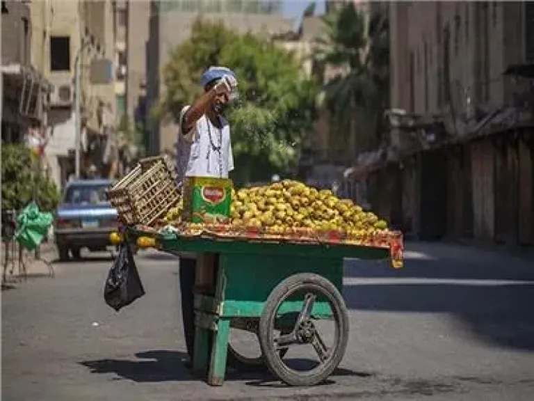 «مفيد للقلب والمناعة».. 10 فوائد مذهلة لتناول التين الشوكي