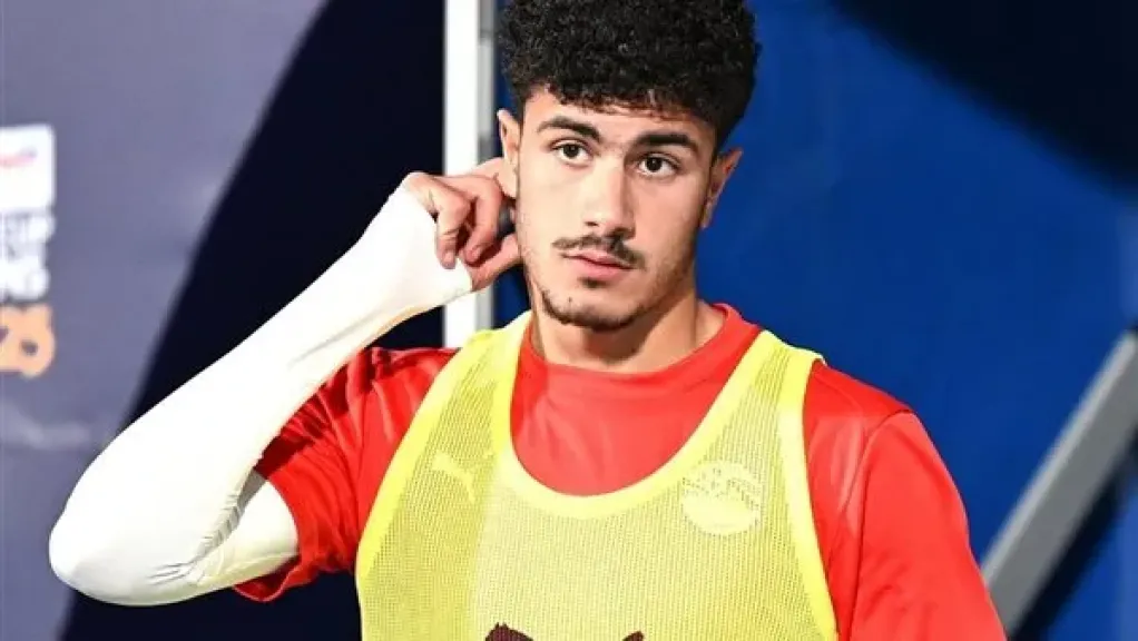 محمود لبيب