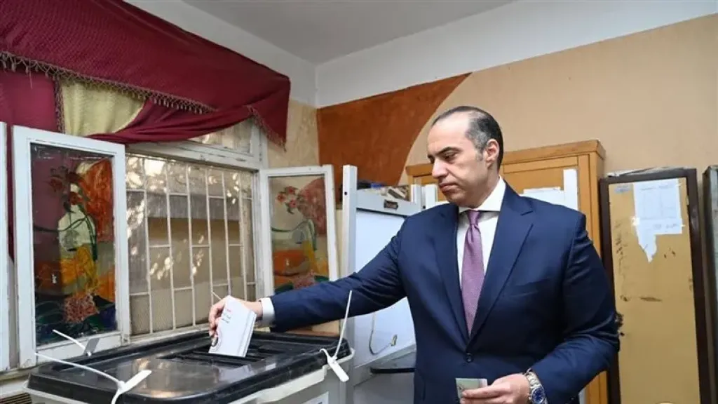 المستشار محمود فوزي