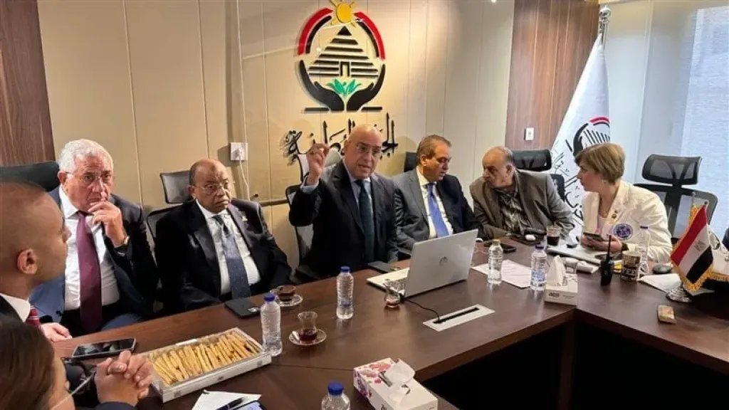  الدكتور المهندس عاصم الجزار