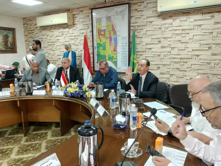 المزاد العلني 