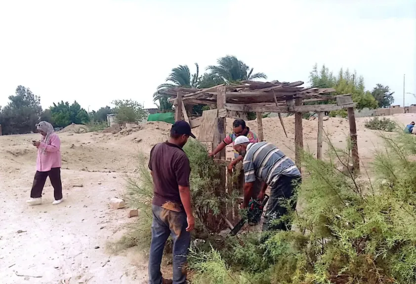 الإصحاح البيئي في منطقة الكيلو ٩ وإزالة الأشجار الجافة