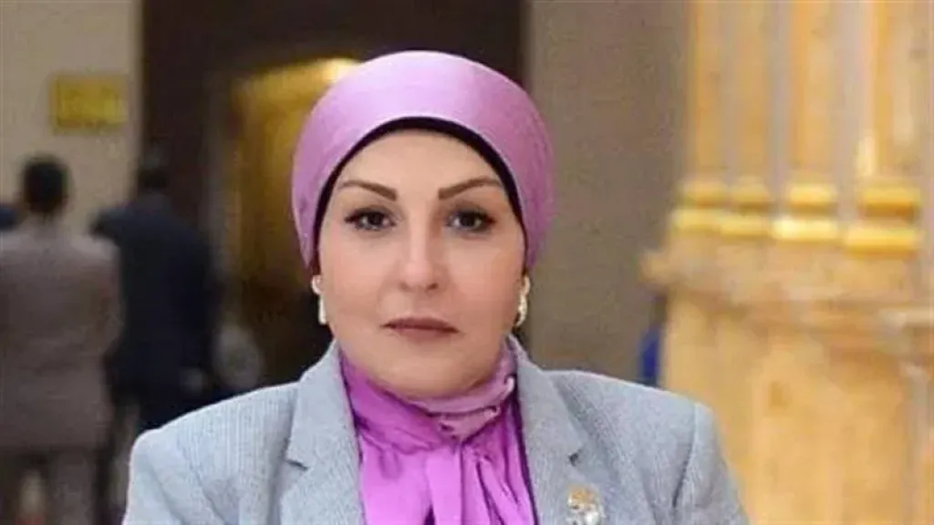النائبة هالة أبوالسعد: لقاء الرئيس بالإعلاميين يعكس إدراك الدولة لأهمية الإعلام كركيزة أساسية للأمن القومي