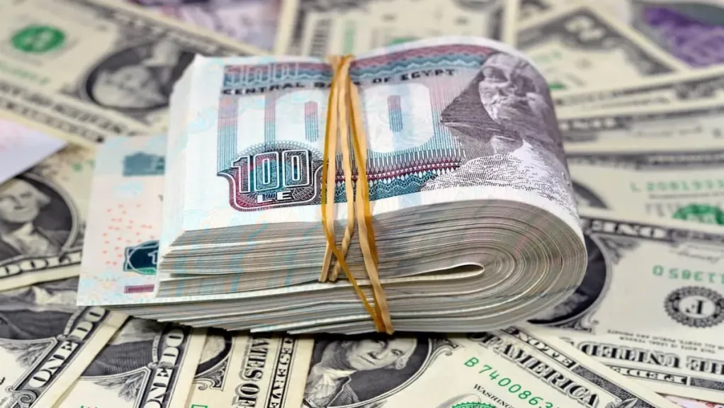 الدولار يتراجع أمام الجنيه في البنوك المصرية.. بدعم من إجراءات تدبير العملة الجديدة