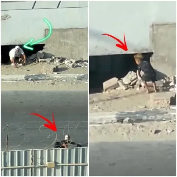 سقوط عصابة “الثقب الأسود”.. القبض على 24 شخصًا استغلوا 23 طفلًا في التسول بالقاهرة والجيزة