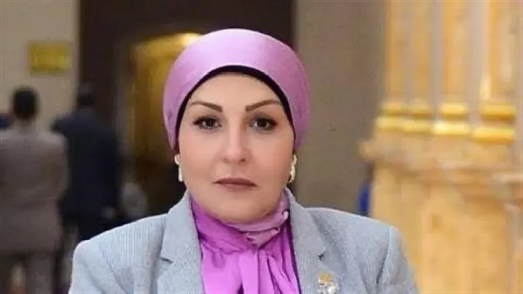 النائبة الدكتورة هالة أبو السعد