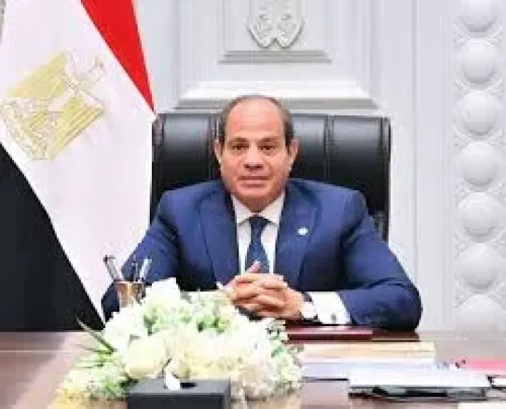 السيسي يوجّه بجذب كبرى الخطوط الملاحية لدعم خطط الدولة الصناعية