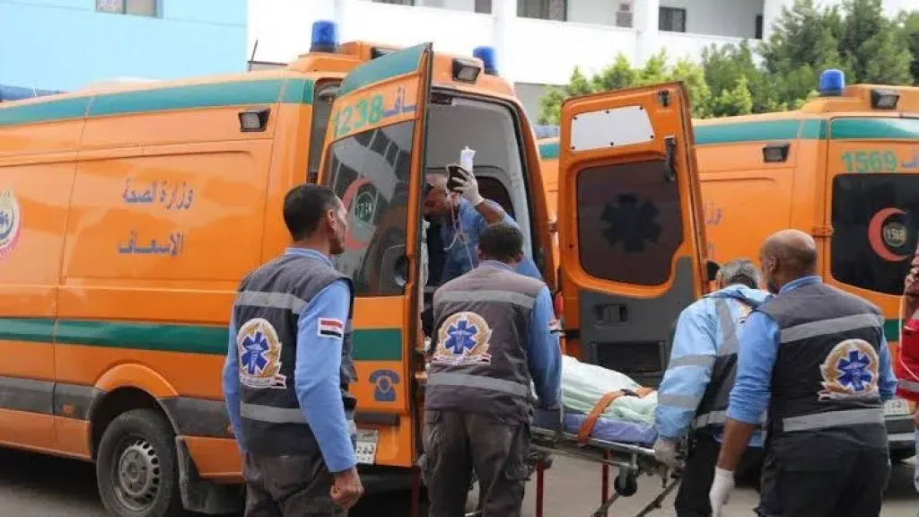 إصابة 6 أشخاص في تصادم ميكروباص وربع نقل بطريق طنطا – كفر الزيات