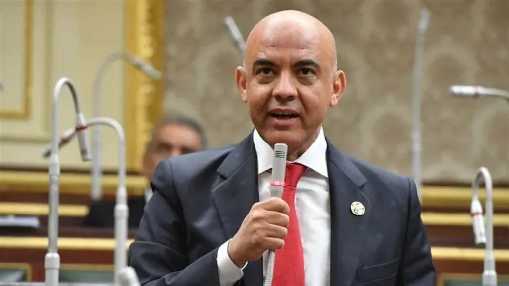 النائب عمرو هندي: كلمة مصر أمام قمة العشرين شددت على ارتباط الأمن المائي بالغذائي