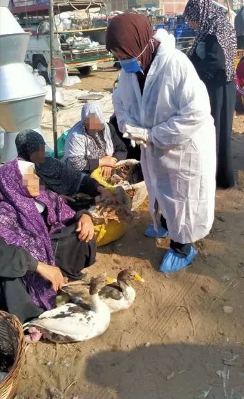 بيطري الشرقية يُحصن أكثر من 60 ألف طائر ويتابع مزارع الأسماك خلال أغسطس