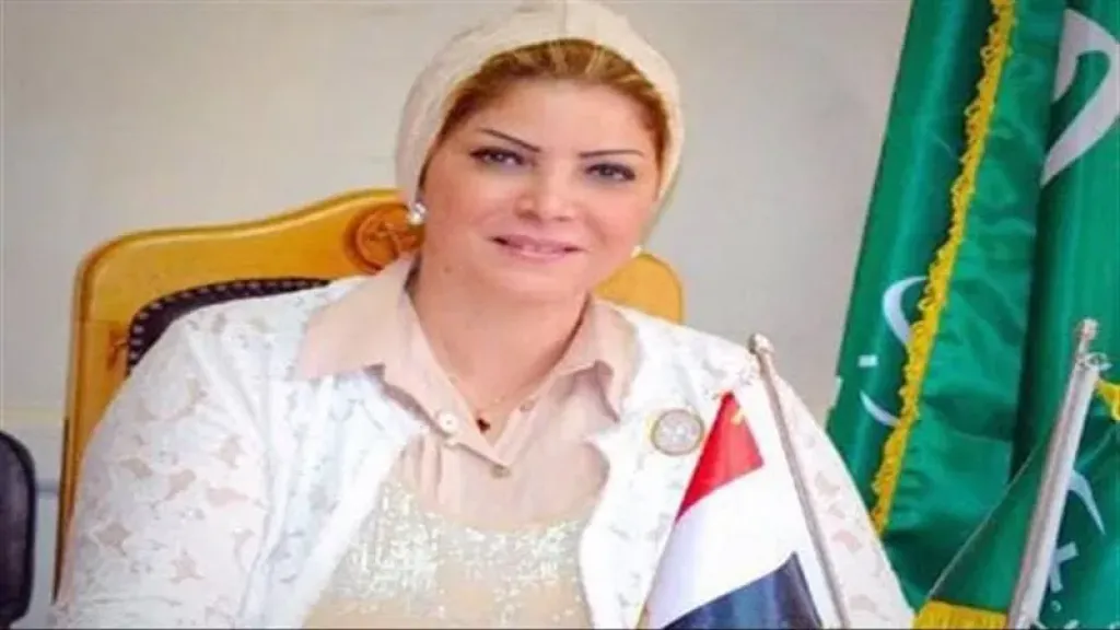 منال العبسي: دعوة الرئيس السيسي لمواجهة التطرف وترسيخ قيم الوسطية تؤكد ريادة مصر الثقافية والفكرية
