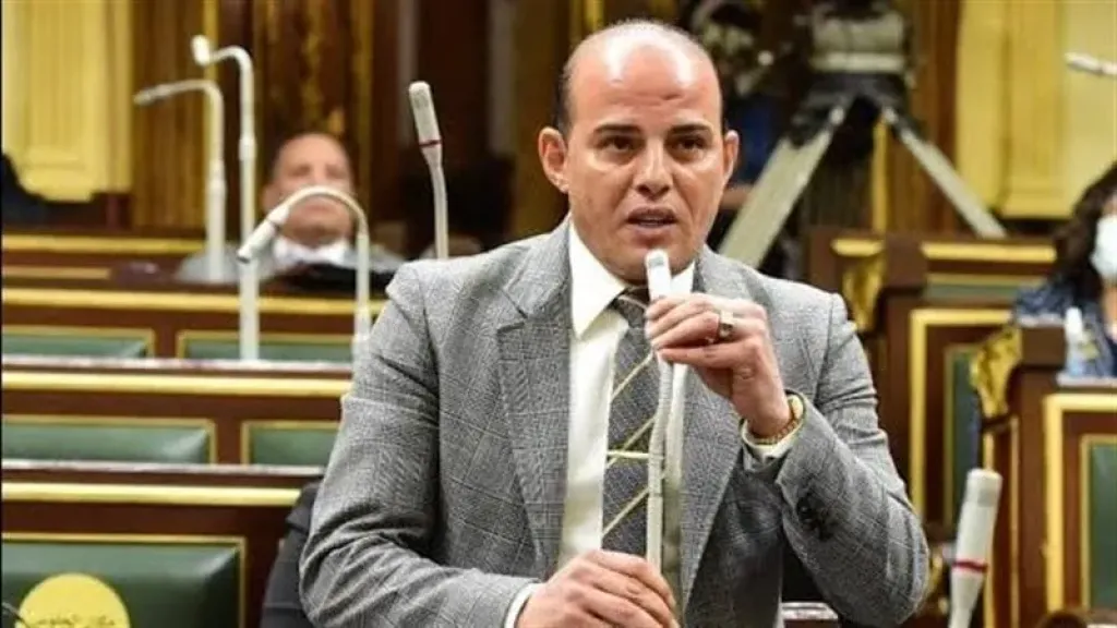 نائب برلماني: مصر ترفض أي محاولات لفرض حلول قسرية على الفلسطينيين