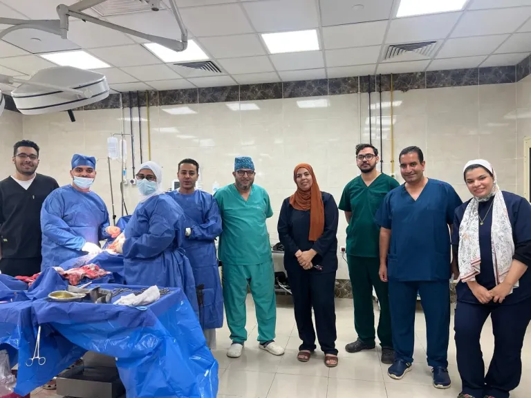 معجزة إنسانية.. أطباء القليوبية ينقذون أماً وطفلها من موت محقق بعد انفجار الزائدة