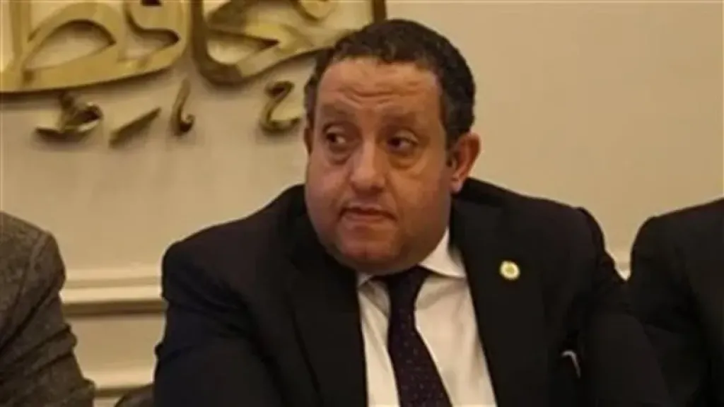 الدكتور المهندس محمد عبد الغني