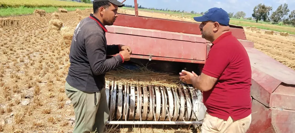 جهود الدولة لمواجهة السحابة السوداء واستغلال قش الأرز في الصناعات