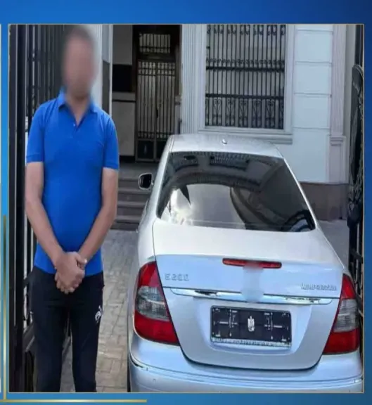 قائد سيارة حظر جمارك غير مالكها