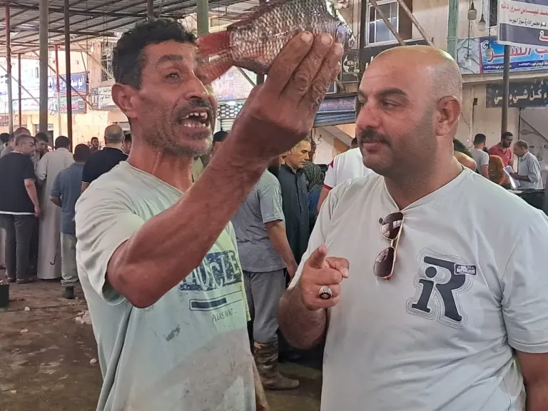 جولة داخل بورصة السمك بمدينة الرياض بكفر الشيخ