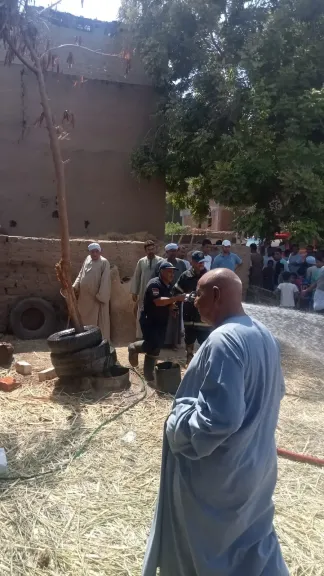 نفوق 5 رؤوس ماشية.. نشوب حريق يلتهم حظيرة مواشي في قنا