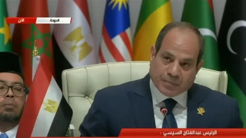  الرئيس السيسي