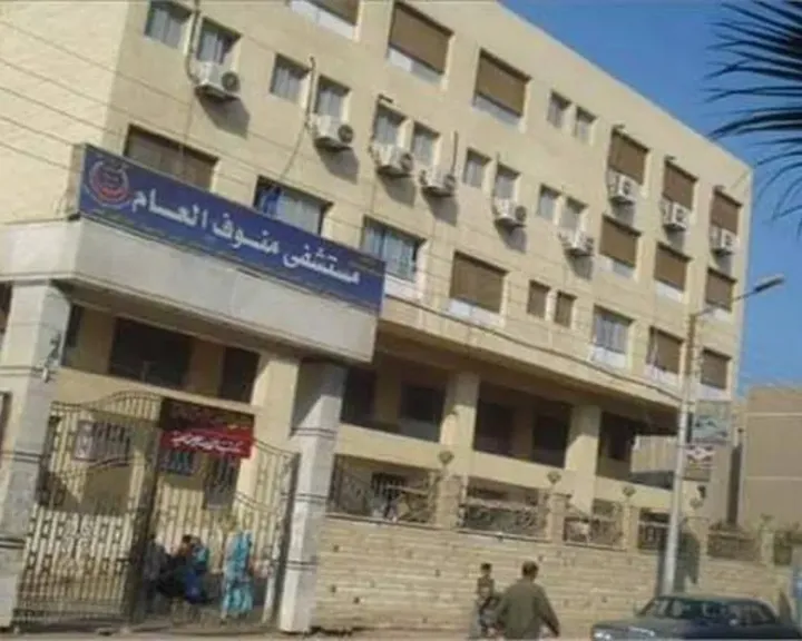 التفاصيل الكاملة لواقعة وفاة توأم بقرية دبركي في المنوفية