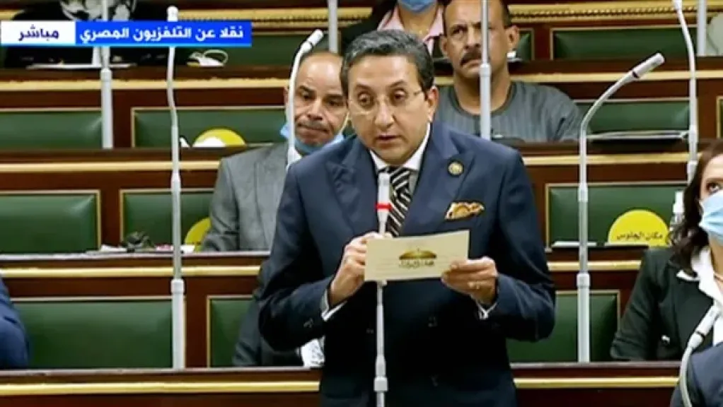 برلماني عن مبادرة الاستفادة من الأطباء بالخارج: لدينا العديد من العلماء والكفاءات المصرية