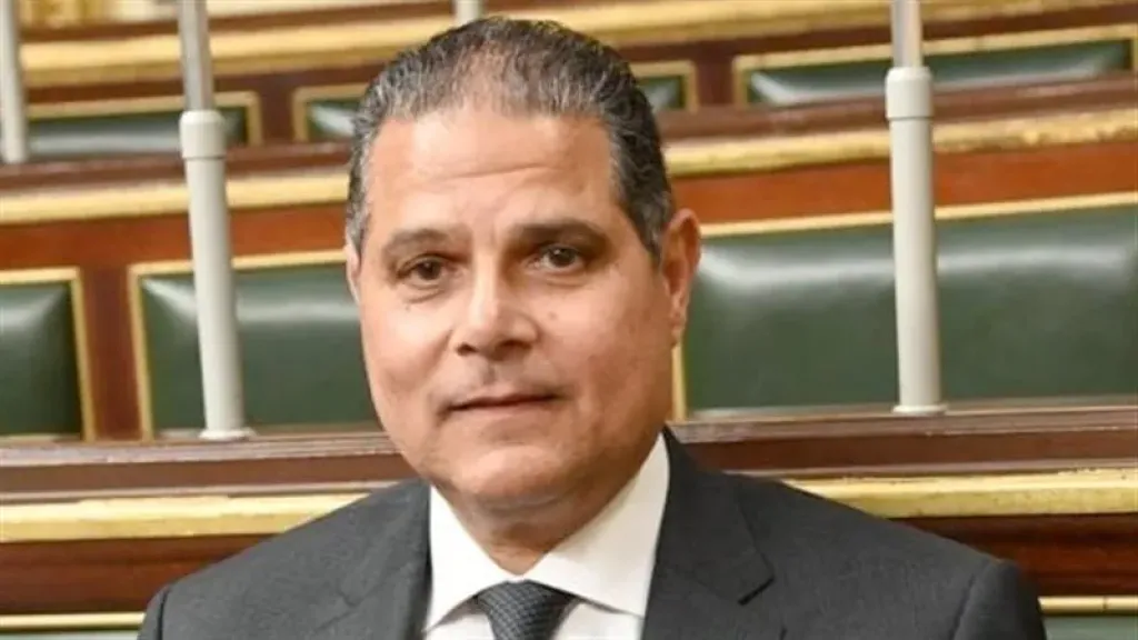 الخشن: اعتماد قرار الضمانات النووية انتصار للدبلوماسية المصرية بالأمم المتحدة