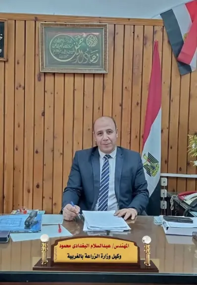 ”زراعة الغربية”: ندوات إرشادية لدعم زراعة بنجر السكر وزيادة الإنتاجية بالمحافظة