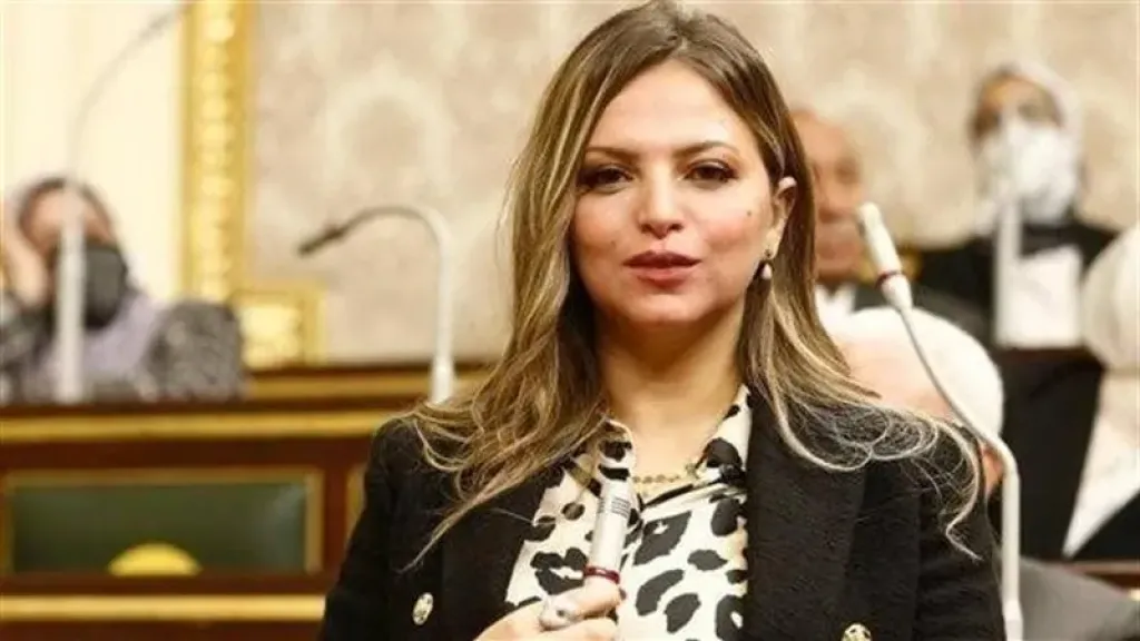 طلب إحاطة في البرلمان: تحذيرات من تنامي ظاهرة ”العنف اللفظي” بالمجتمع