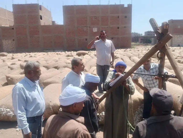 محافظ أسيوط: منظومة تسويق القطن وتقديم التسهيلات للمزارعين لضمان عائد عادل وتشجيع التوسع في زراعته