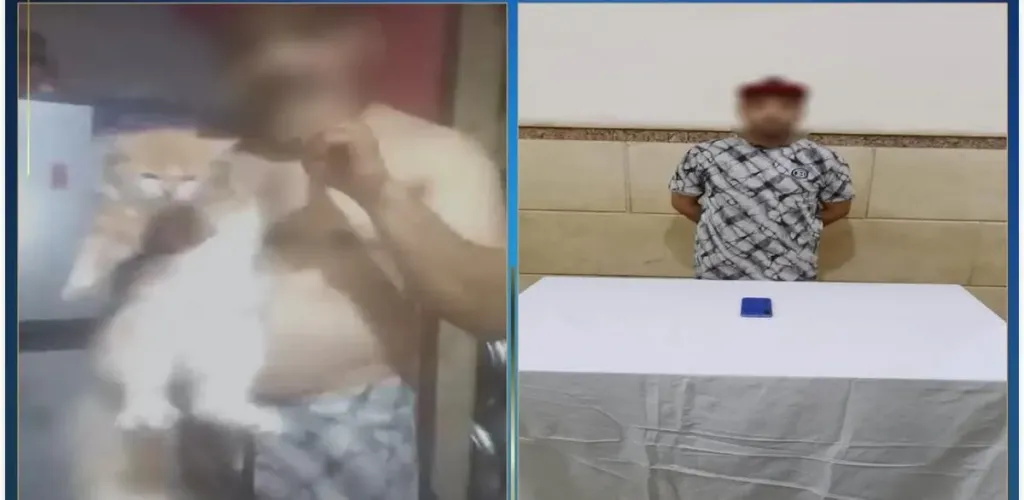 القبض على المتهم بزعم علاج مرض السكري بإيذاء الحيوانات الأليفة بالإسماعيلية