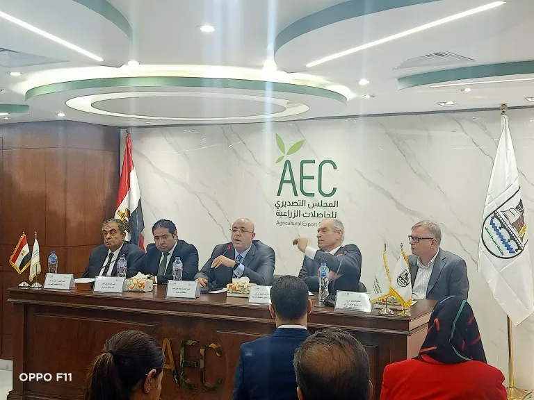 محافظ بني سويف 