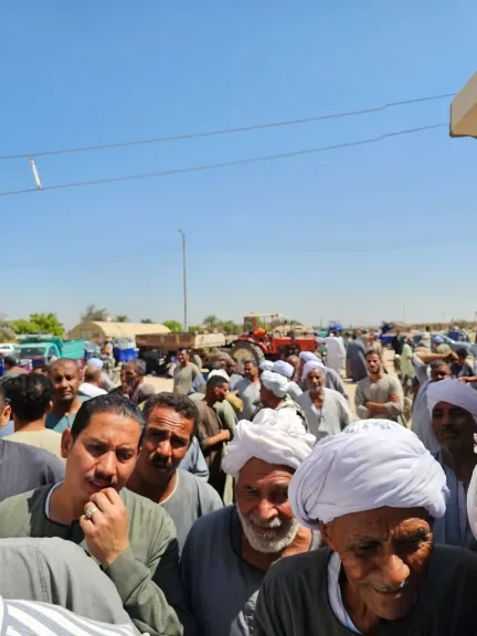 المئات ينتظرون الاستلام.. وصول 8000 جوال أسمدة لمزارعي المراشدة في قنا والفلاح الفصيح: الفرحة فرحتين بعد افتتاح منفذ بالقرية (صور)