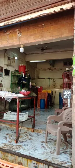 القليوبية تواصل ضربتها.. ضبط 105 مخالفة تموينيه و11 محضر جنح بحملات تفتيش مفاجئة