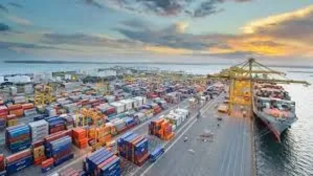 سلامة الغذاء: 310 آلاف طن واردات غذائية لمصر خلال أسبوع