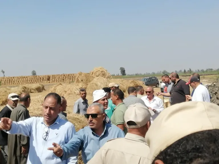 حملات للتصدي لشون تجميع قش الأرز العشوائية